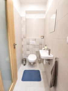 a small bathroom with a toilet and a sink at Rodinný dům Řásná u Telče in Řásná +4 photos