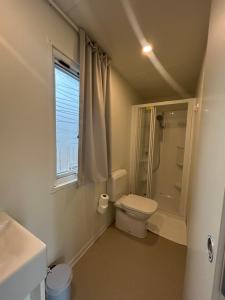 a bathroom with a toilet and a shower and a window at Solle in Banjole