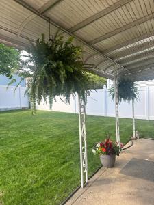 a pergola with a potted plant in a yard at Elmont Escape Studio in Elmont