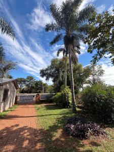 a palm tree standing next to a brick road at Cabaña en la Naturaleza, próximo a las Cataratas - Oré Lodge in Puerto Iguazú +8 photos