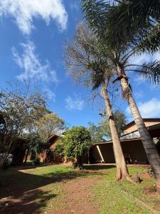 two palm trees in front of a house at Cabaña en la Naturaleza, próximo a las Cataratas - Oré Lodge in Puerto Iguazú