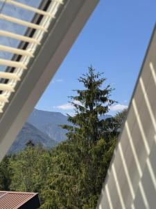a view of a tree from a balcony at Velvet Alps Bovec in Bovec