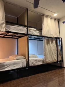 a room with three bunk beds in a room at Hostal Vibes in Oaxaca City