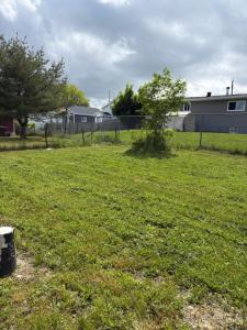 a field of grass with a fence and a tree at Three bedrooms cozy home in Sydney +6 photos