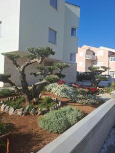a garden with a tree and flowers in front of a building at Monami Apartman Charlie in Vodice