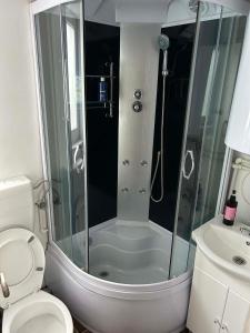 a bathroom with a shower and a toilet at Lucky lak in Miercurea-Ciuc