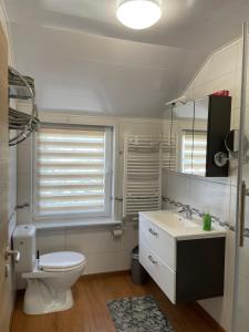 a bathroom with a toilet and a sink and a mirror at Nina in Bad Wildungen +5 photos