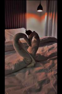 two swans making a heart on a bed at شاليهات سمو بارك in Taif +23 photos
