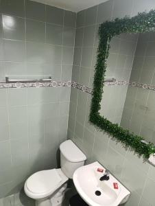 a bathroom with a toilet and a sink and a mirror at Palma Paraíso Hotel in Melgar +16 photos