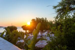 a sunset over a beach with trees and the ocean at Fino Amore Private Jacuzzi Suite in Mykonos Town in Mikonos