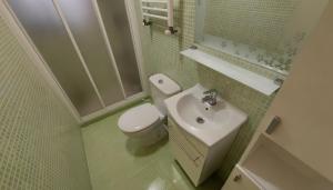 a small bathroom with a toilet and a sink at Duna Hollidays in Puerto de Sagunto +15 photos