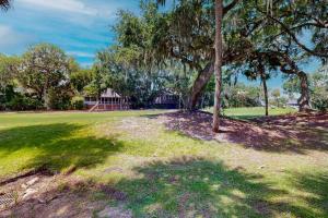 a tree in a field with a house in the background at The Tidey Turtle in Edisto Beach
