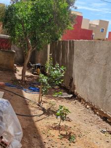 a yard with a fence and a tree and a table at Aerport arwi accom in Nador Airport