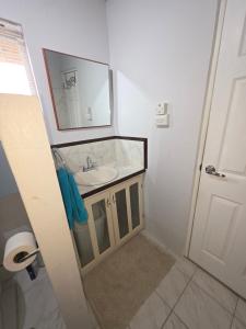 a bathroom with a sink and a mirror at Gloria's Hideaway in Christ Church +25 photos