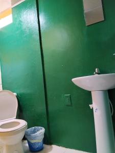 a green bathroom with a toilet and a sink at Hospedaje Mundial in Villeta