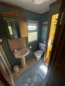a bathroom with a sink and a toilet and a mirror at Hills View Accommadation in Borrisoleigh