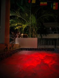 a red carpet in a room with plants at El coltejeriano in Coveñas +1 photo