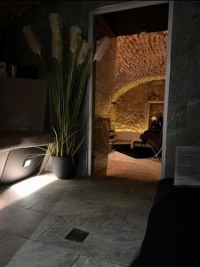 a hallway with a potted plant in a room at Maison Stanislas Spa Suites in Nancy