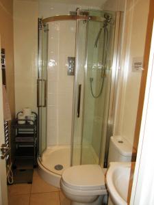 uma casa de banho com um chuveiro, um WC e um lavatório. em The Goldings em Lewes