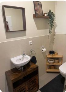 a bathroom with a sink and a mirror and a toilet at studio siesta in Pétange