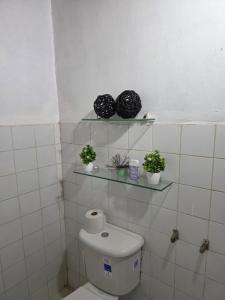 a bathroom with a toilet and two plants on shelves at La casa de Juana in Las Tablas