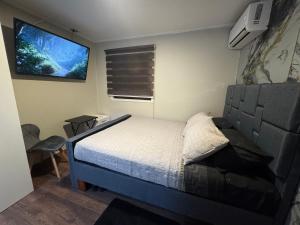 a bedroom with a bed and a flat screen tv at Arriendo habitaciones Talca in Talca