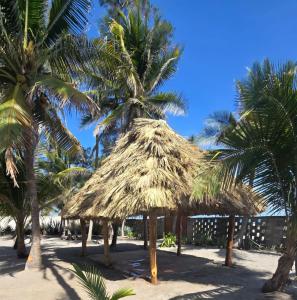 a straw hut on the beach with palm trees at Bluehaven Austin House in La Paz