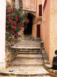 eine Treppe, die zu einem Gebäude mit roten Blumen führt in der Unterkunft Apartment the Haven in Cucugnan
