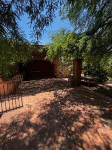 a shady yard with a bench and a tree at Casa Cantera in Tequisquiapan