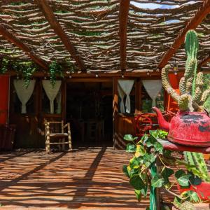 a house with a red vase and a cactus at cabañas spa el petrel in San Javier