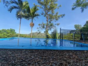 a swimming pool with palm trees in the background at DILSHAN HOTEL Diyaluma in Koslanda
