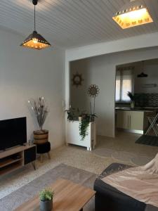 a living room with a couch and a tv at Le Cocon d aurélie in Thèzan-lès-Béziers