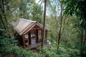 a small house in the middle of a forest at Oak House Sidemen in Sidemen