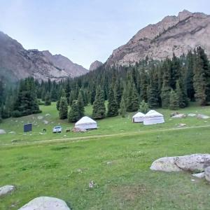 a group of tents in a field with trees and mountains at Kapchygai Yurt Camp in Dzhetyoguz