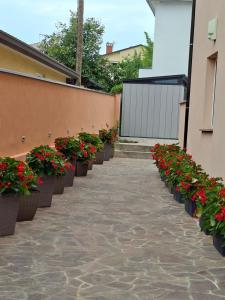 a row of potted plants next to a building at Apartments Villa Nona in Umag +88 photos