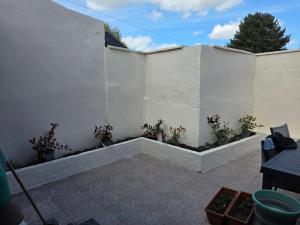 a white wall with plants in a courtyard at maison de madame De souter in Sequedin