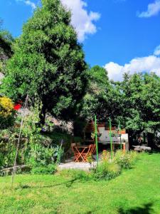 a garden with a tree and a picnic table at Gradina Bulgarana in Bourg-Argental