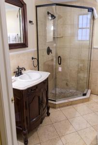 a bathroom with a shower, sink, and mirror at La Reserve Bed and Breakfast in Philadelphia