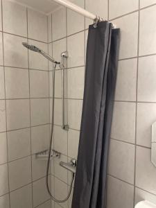a shower with a shower curtain in a bathroom at Heideapartments Hillmer in Bispingen