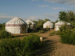 a group of domes in a field with grass at Urban Monkey Summer Camp in Kaji-Say