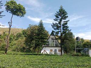 a house in the middle of a field with trees at Pine Trees Home Holidays in Vagamon