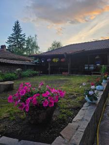 a garden with pink flowers in a yard at Карагьозовата Къща - цяла къща - 6 големи спални, 6 бани и отделна механа in Koprivshtitsa