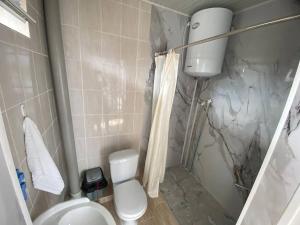 a bathroom with a toilet and a shower at Гостевой дом Амир с Корумду in Korumdy