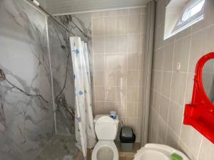 a bathroom with a shower and a toilet and a sink at Гостевой дом Амир с Корумду in Korumdy