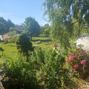 a garden with pink flowers and plants in a field at Wee Aroleid in Port-Valais