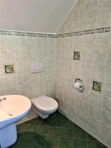 a bathroom with a toilet and a sink at Penzion Arosa in Růžová