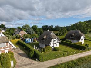 a group of houses with thatched roofs in a field at Reetdachhaus Laurin in Dranske in Dranske