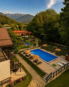 an overhead view of a swimming pool with chairs and umbrellas at Arazani in Lagodekhi