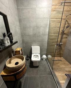 a bathroom with a toilet and a shower at Arazani in Lagodekhi +82 photos