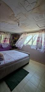 a bedroom with a bed and a ceiling with a window at Nchaman Nest in Loiyangalani  +4 photos
